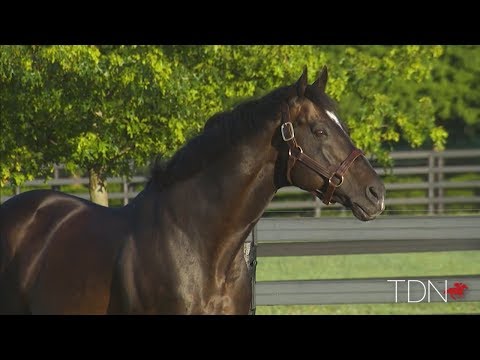 Auch mit 20 Jahren noch erfolgreich: Goldmedaille