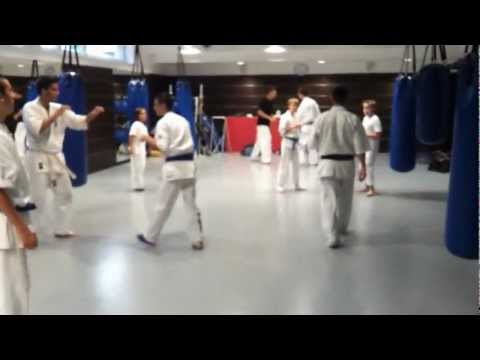 Rózsa Gábor - karate