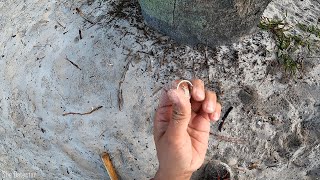 Metal Detecting w/Garrett Ace Apex