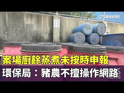 案場廚餘蒸煮未按時申報　環保局：豬農不擅操作網路