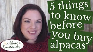5 Things to Know Before You Buy Alpacas
