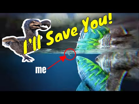 Will The Dodo Help You Reach Herbivore Island At Level One?