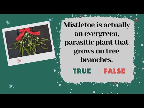 Christmas True or False Quiz. Christmas Facts - True or False