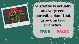 Christmas True or False Quiz. Christmas Facts - True or False