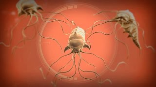 Plague Inc Evolved | Neurax Worm | BY THE SKIN OF MY TEETH