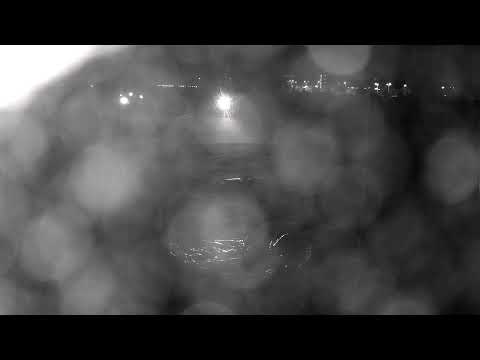 Hoofddorp Pioniers H2 vs Wassenaar H1