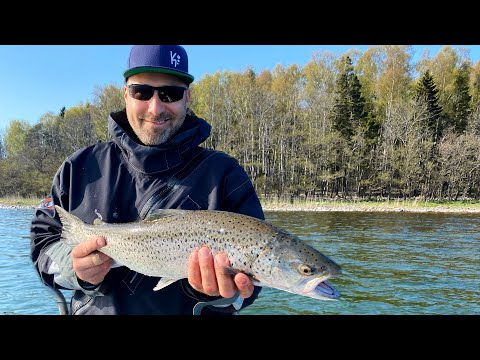 2,5 kg TAIMEN tarttuu kolmen kopautuksen jälkeen
