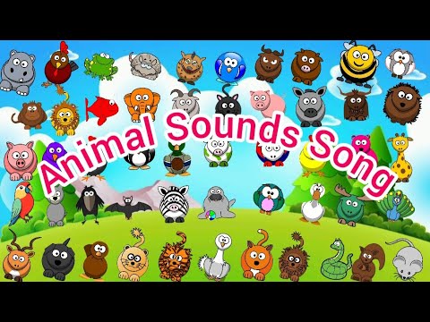 Animal Sounds Song Best Q27 | Nursery Rhymes for Babies | Nursery Rhymes for Toddlers .
