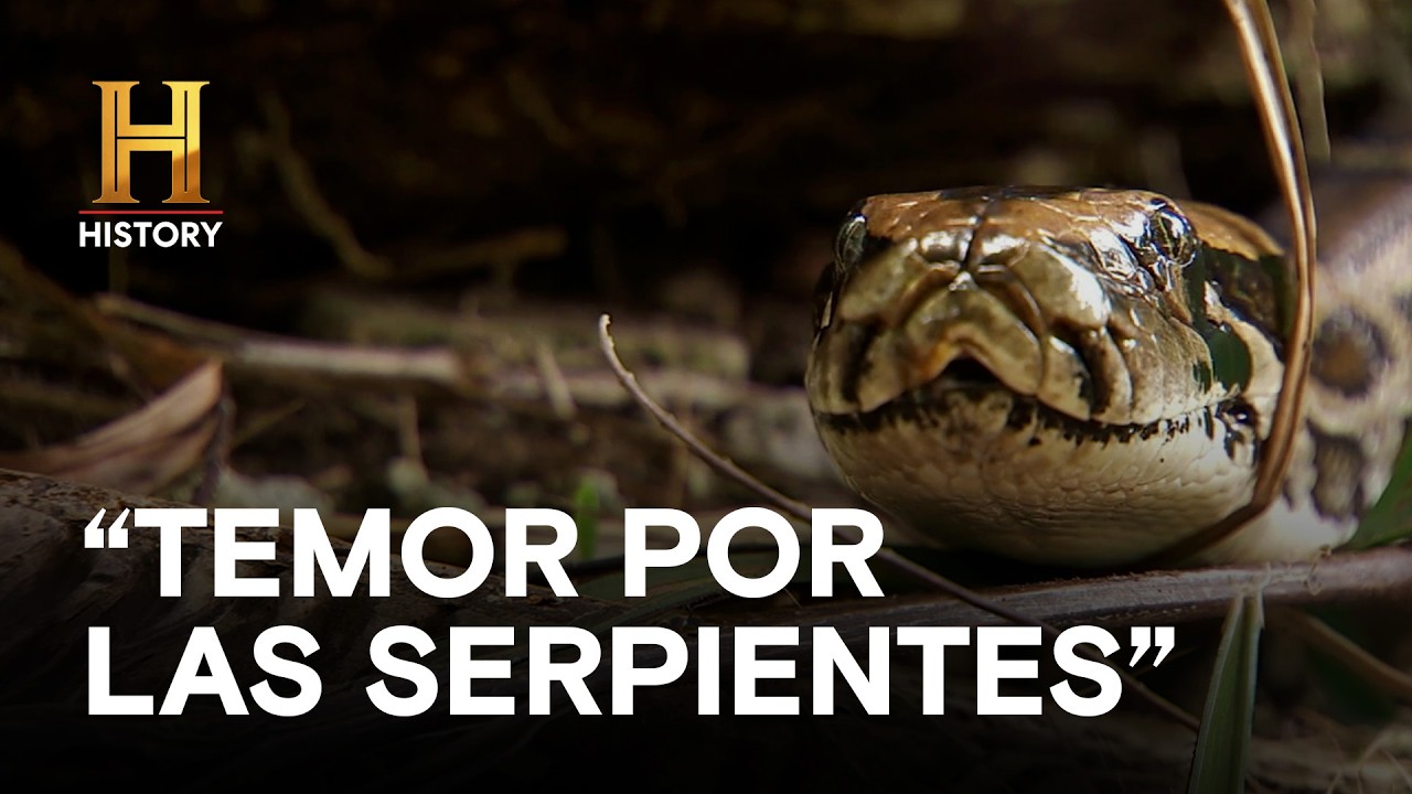 "TEMOR POR LAS SERPIENTES" - MONSTRUOS LEGENDARIOS