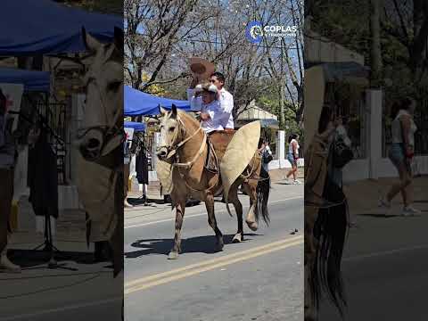 DESFILE GAUCHO. Fiesta Patronal. Virgen de las Mercedes 2026 Monterrico Jujuy