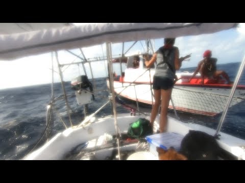 MAYDAY Rescued at Sea |  82 Beau and Brandy Sailing