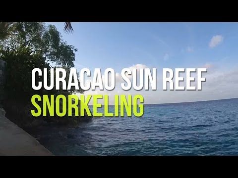 Curacao Sun Reef Snorkeling \\ Schnorcheln