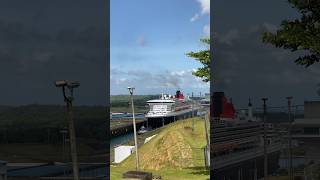Queen Mary 2 por primera vez en el Canal de Panama #cunardline #queenmary2 #qm2 #panama #cruiseship