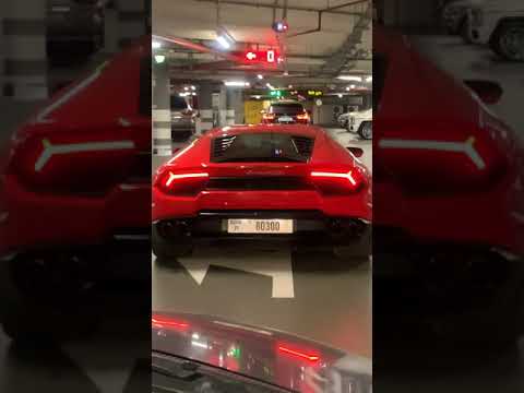 Vizet dubai different Places