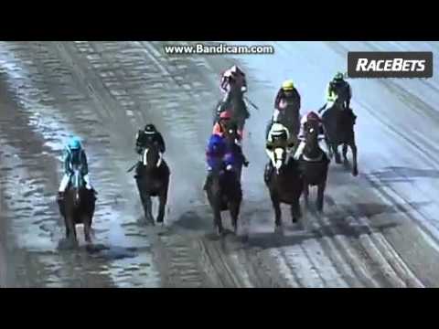 Sameer Rennfilm aus Dortmund vom 6.2.2016