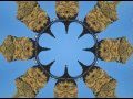 "Sandalista" by The Unseen Guest 