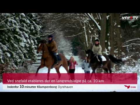 Indenfor 10 Minutter - Klampenborg - Dyrehaven - Bellevue Strandbad