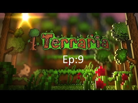 Terraria Ep:9 piovono slime