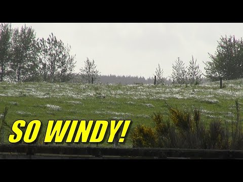 an-an-rc-plane-a-pilot-with-parkinsons-and-a-25k-wind-what-could-go-wrong