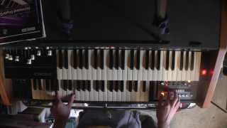 Farfisa 110R + Superpartner (with delay effect)