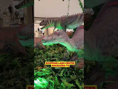 shopping lago Center Araguaína -TO #tocantins #dinossauro #viral #viagens #passeio