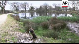 ECO HOBBIT HOMES FOR ALTERNATIVE LIFESTYLE