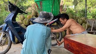 Hồi ký sửa xe Thu hoạch Sầu riêng Khánh Sơn vụ mùa 2025 (đợt 2, phần 1)