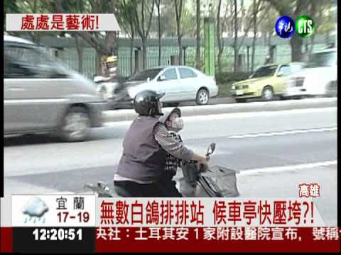 創意候車亭 "白鴿"排排站