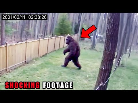 18 CLEAREST Bigfoot Encounters Caught on Camera
