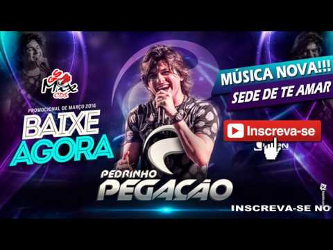 Pedrinho Pegação - Sede de Te Amar - Musica Nova!