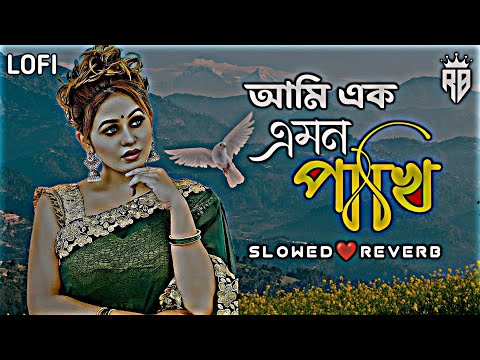 Ami Ek Amon Pakhi || আমি এক এমন পাখি |[Slowed+Reverb] Bangla Lo-fi Remix Songs | Tik Tok Viral Song