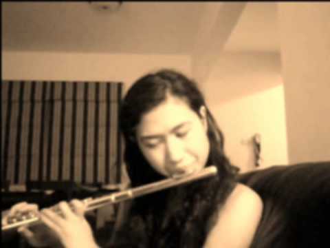 Nantes by Beirut (flute cover)