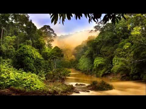 Lunatic inc  vs  Trance arts - Issues (Original 2009 mix)