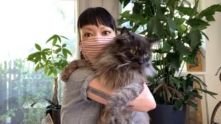 Donut day in neighborhood/のんびりドーナツの日