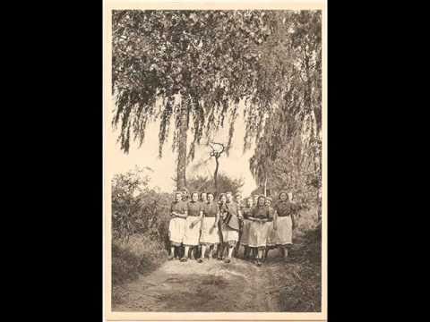 STRYDWOLF - Frii es de Festsang (Mantra) 2010 SkullLine