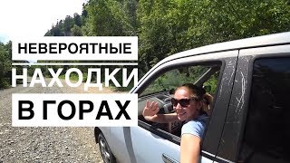 Мы и не подозревали, что вокруг нас исторические находки. 🦖🦕🐚