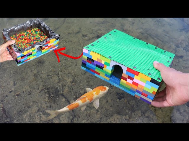 LEGO FISH AQUARIUM For My NEW COLORFUL FISH!!