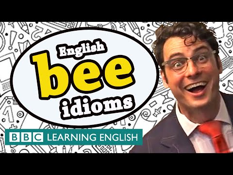 Bee Idioms - BBC Learning English