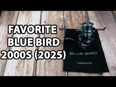 Котушка Favorite Blue Bird 2000S (2025), низькопрофільна шпуля, підшип. 9+1, швидкість: 5.2:1