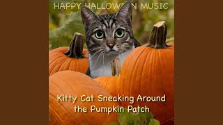 Kitty Cat Sneaking Around the Pumpkin Patch