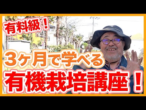 カタバミと戦うには化学除草剤グリホサートを使用して根を抜く方法