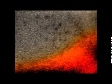 Haukimane -  Kevättä ilmassa