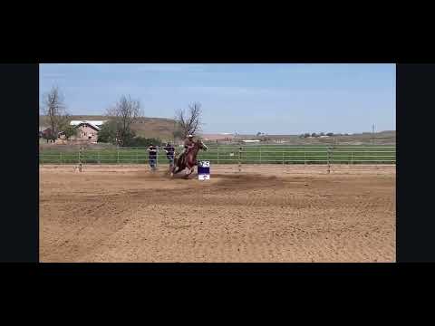 Raisin H Arena video thumbnail