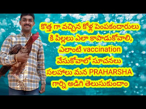 పిల్లలు ఎలా కాపాడుకోవాలి, ఎలాంటి vaccination వేసుకోవాలో సూచనలు సలహాలు PRAHARSHA Gari interview