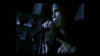 Bài hát My Eyes Don't Lie - Nghệ sĩ trình bày Janice Vidal / 卫兰 / Vệ Lan