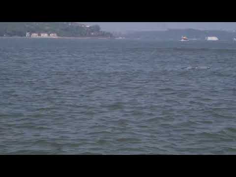 Goa 2022 Sinquerim Beach #zuni #goa #travel (3)