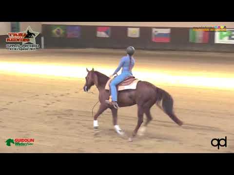 Snafflebit e 4 tappa TRHA 2018 - SANTINI NOEMI sul suo ER SMART LITTLE SNAP con score 68,5