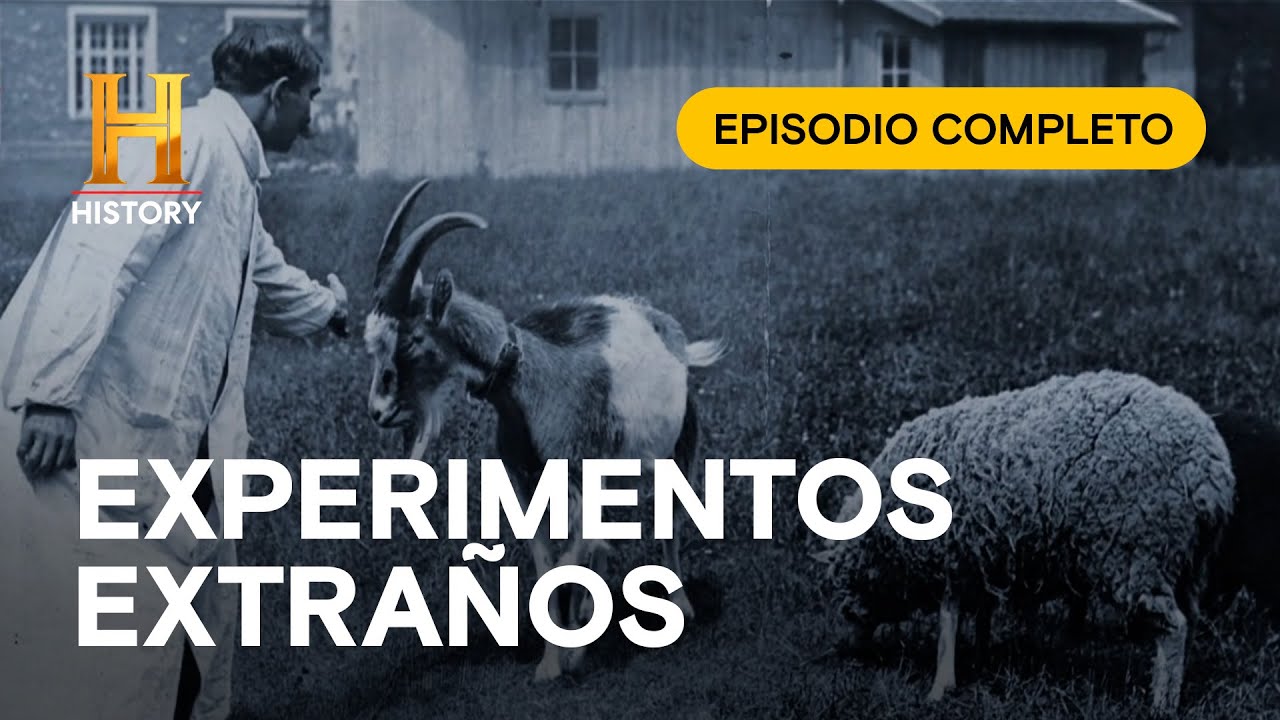 EXPERIMENTOS EXTRAÑOS - INCREÍBLE CON DAN AYKROYD - EPISODIO COMPLETO