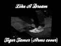 Like A Dream - Tiger Tamer (Arms cover)