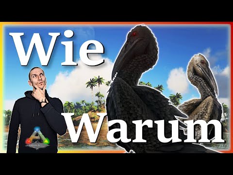 ARK Taming Guide | Ichthyornis zähmen & seine Fähigkeiten mit Humor